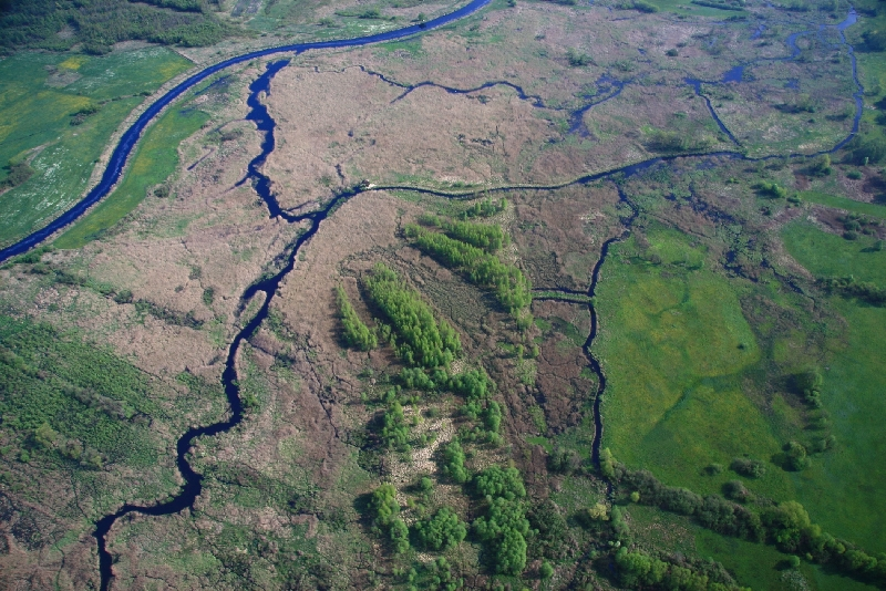 Narew river – airphoto of the restored stretch below Rzędziany village (photo: Andrzej Bielonko)